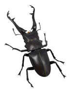 海洋堂 ギラファノコギリクワガタ REVO GEO(リボジオ)