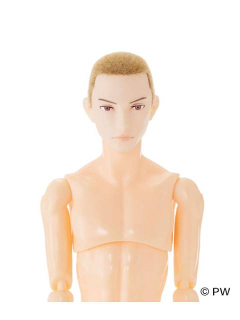 ペットワークス 六分の一男子図鑑　ギークパンク ナイン