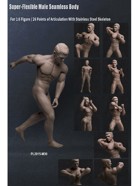 ファイセン・リミテッド 1/6素体 超柔軟性シームレス男性ボディ ヘッドレス (ステンレススチールスケルトン) 【PL2015-M30】