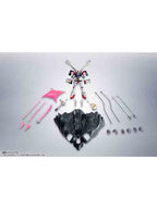 ROBOT魂 クロスボーン・ガンダムX1/X１改 EVOLUTION-SPEC