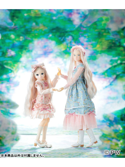 ペットワークス CCS 23SS momoko