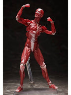 figma SP-142 人体模型 フリーイング
