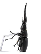 海洋堂 ギラファノコギリクワガタ REVO GEO(リボジオ)