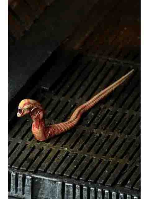 ネカ エイリアン ビッグチャップ 「エイリアン」 40th アニバーサリー 7インチ アルティメット 7インチ アクションフィギュア