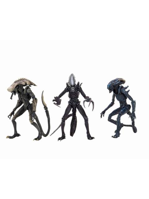 NECA AVP Alien Movie Decoration Set of 3 "Alien vs Predator" 7-inch Action Figures