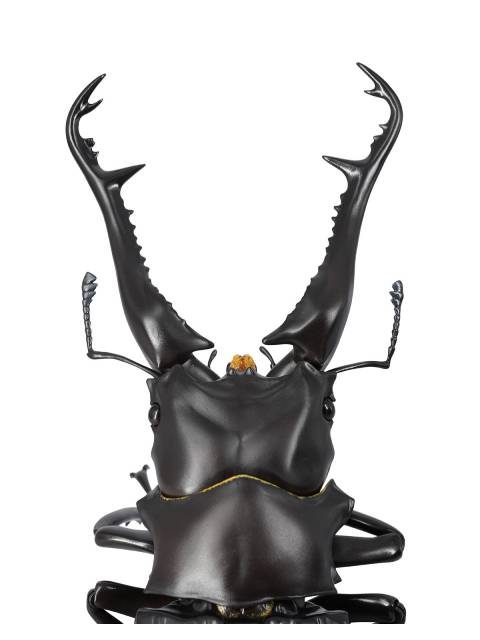 海洋堂 ギラファノコギリクワガタ REVO GEO(リボジオ)