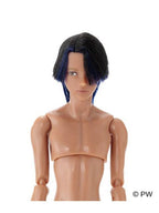 ペットワークス 六分の一男子図鑑　ギークパンク エイト