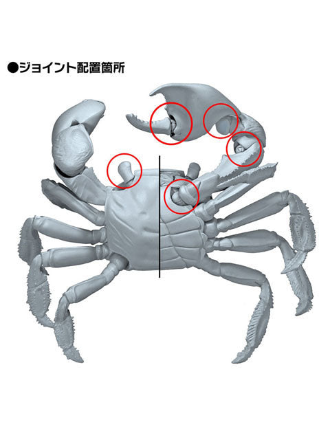 海洋堂 リボジオ アカテガニ