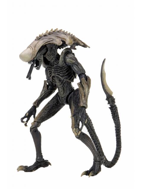 NECA AVP Alien Movie Decoration Set of 3 "Alien vs Predator" 7-inch Action Figures