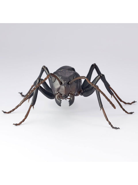 海洋堂 クロオオアリ REVO GEO リボジオ